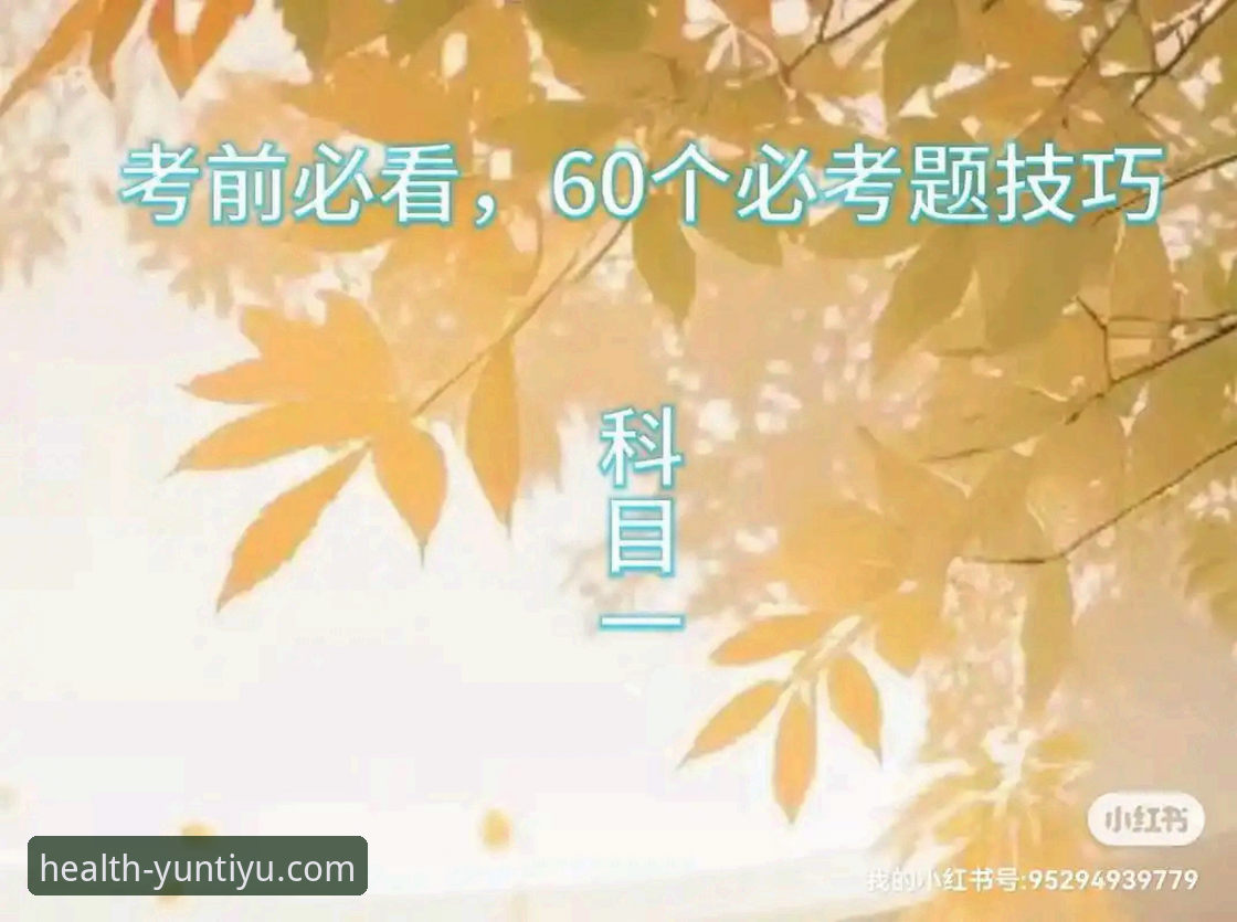 云体育官方App使用教程：新手必看的云体育运动建议攻略