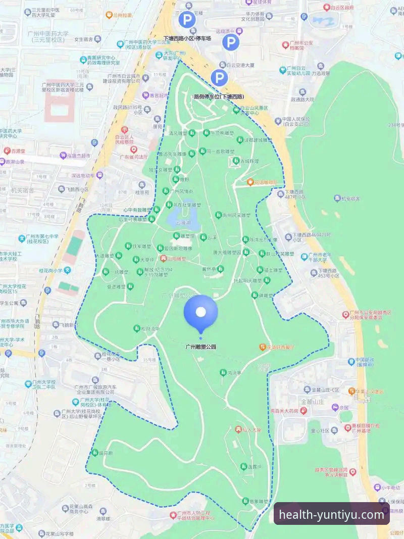 云体育注册操作教程 - 从下载到使用的完整指南